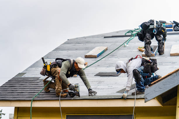 Professional Gutter Installation technician working in Hedrick, IA